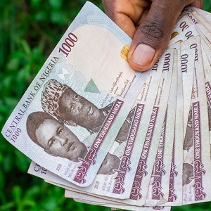 The Nigerian Naira Freefall: Where did it all go wrong?