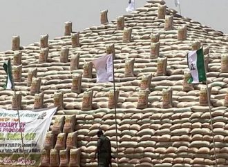 President Muhammadu Buhari unveils Rice Pyramids in Abuja.