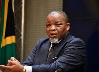 Gwede Mantashe, Russia invasion threatens African economy.