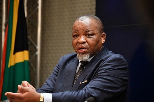 Gwede Mantashe, Russia invasion threatens African economy.